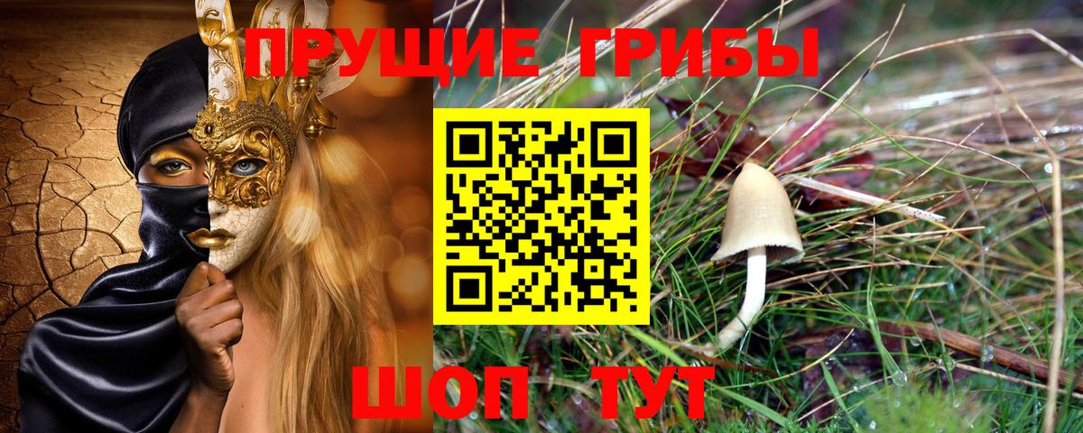 Галлюциногенные грибы мицелий Ишимбай